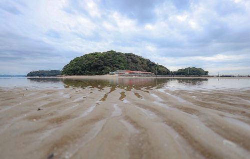 夏休み　私は今年も　安近短　🌻