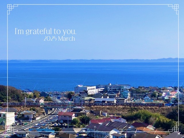 挨拶をしに少し先の三浦半島の某所へ🌸🌊久々の快晴と、見頃の河津桜と。/3月31日まで決算セール開催中