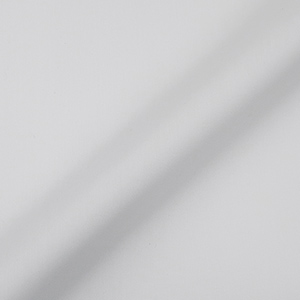 COOLMAX 機能性 白ブロード シャツ・レディース